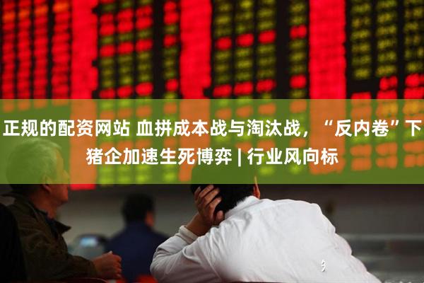 正规的配资网站 血拼成本战与淘汰战，“反内卷”下猪企加速生死博弈 | 行业风向标